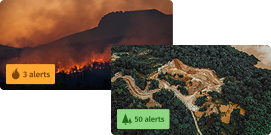 Track the vegetation disturbances that matter most