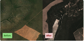 Understand natural ecosystem