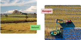 Monitor grassland health and conversion