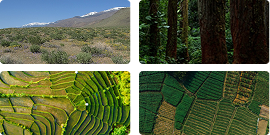 Assess land cover change